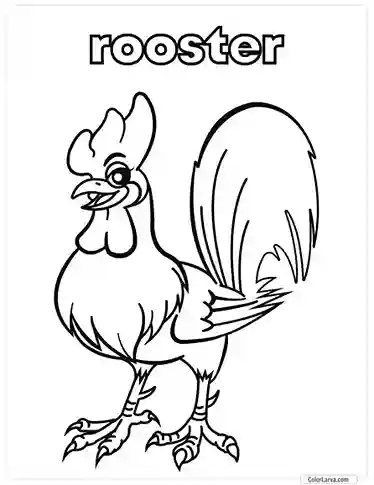 16. Animal Coloring Pages for Kids - Rooster