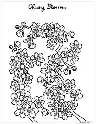 Flower Coloring Pages - Cheery Blossom