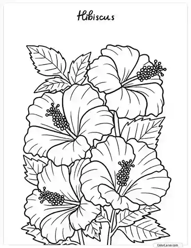 Flower Coloring Pages - Hibiscus