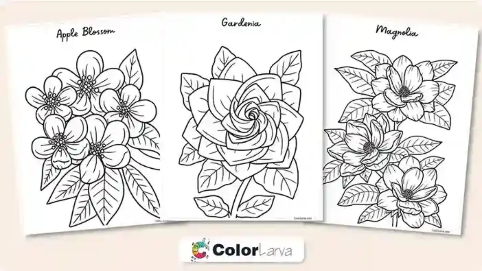 Flower Coloring Pages