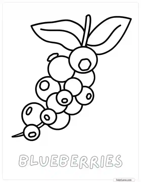 Fruit Coloring Pages for Kids - Blueberries