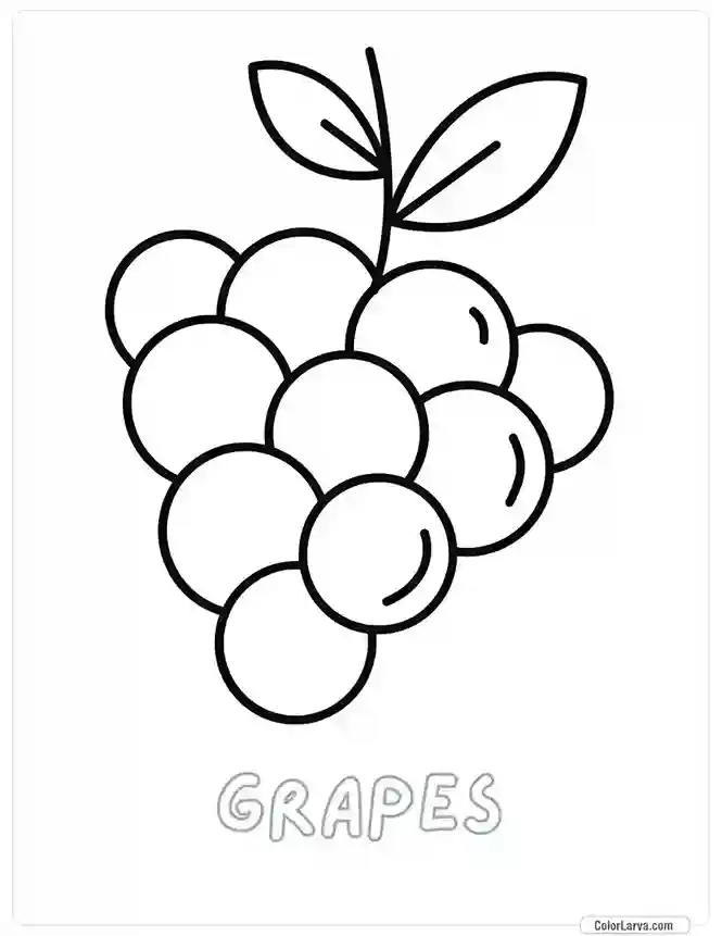 Fruit Coloring Pages for Kids - Grapes