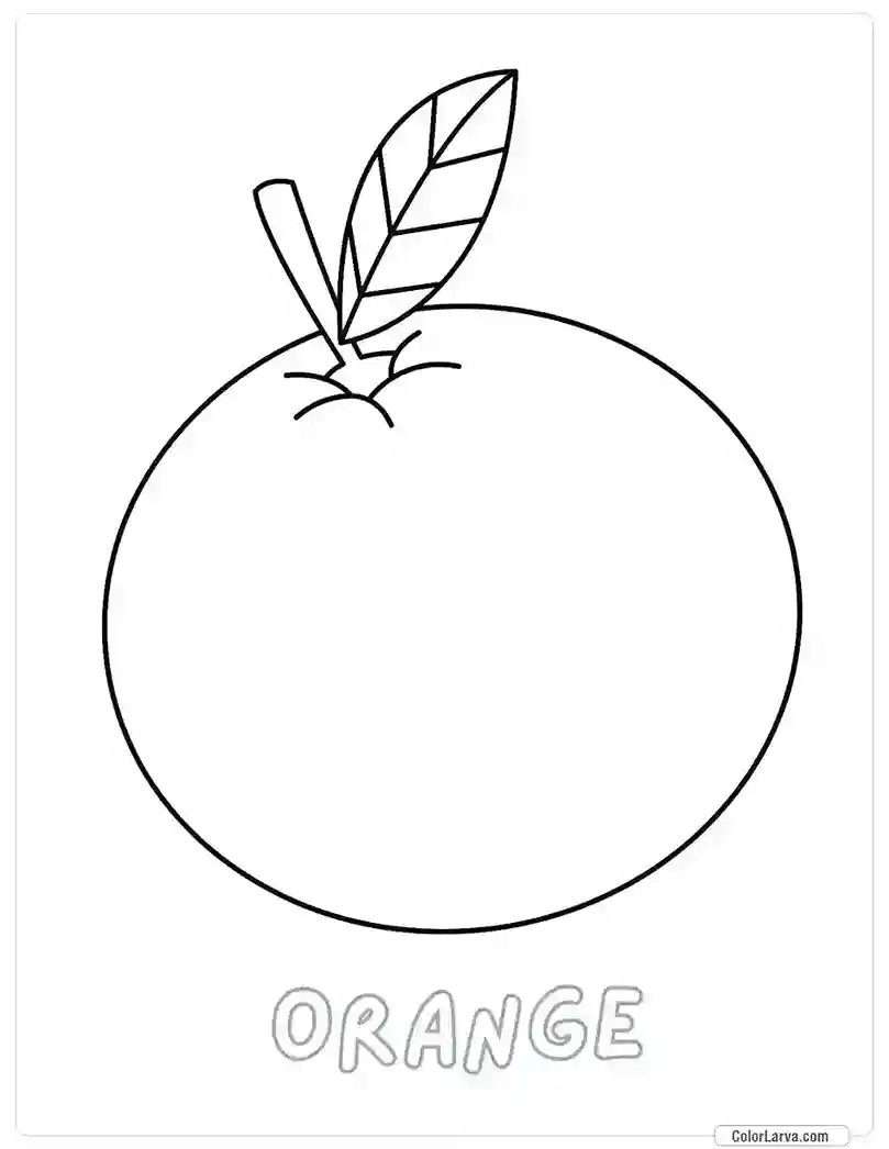 Fruit Coloring Pages for Kids - Orange