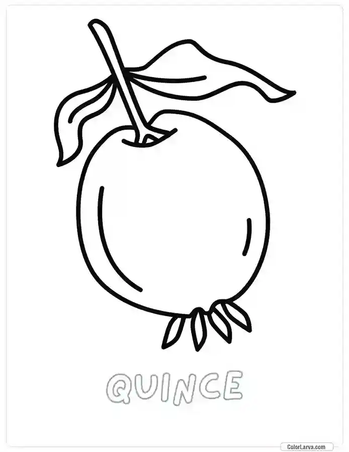 Fruit Coloring Pages for Kids - Quince