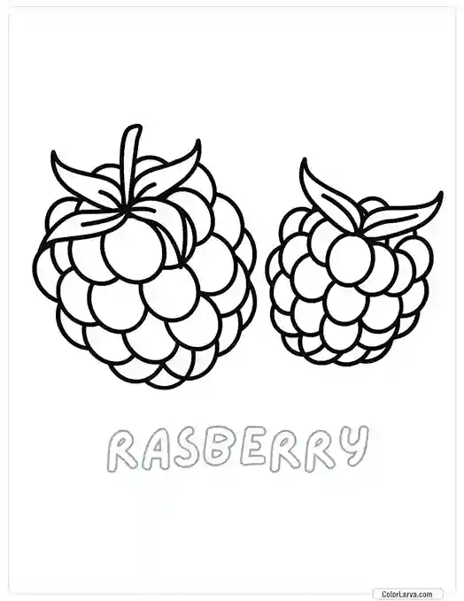 Fruit Coloring Pages for Kids - Rasberry