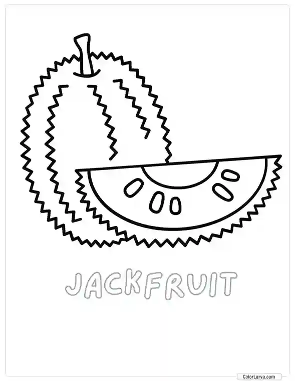 Fruit Coloring Pages for Kids - jackfruit