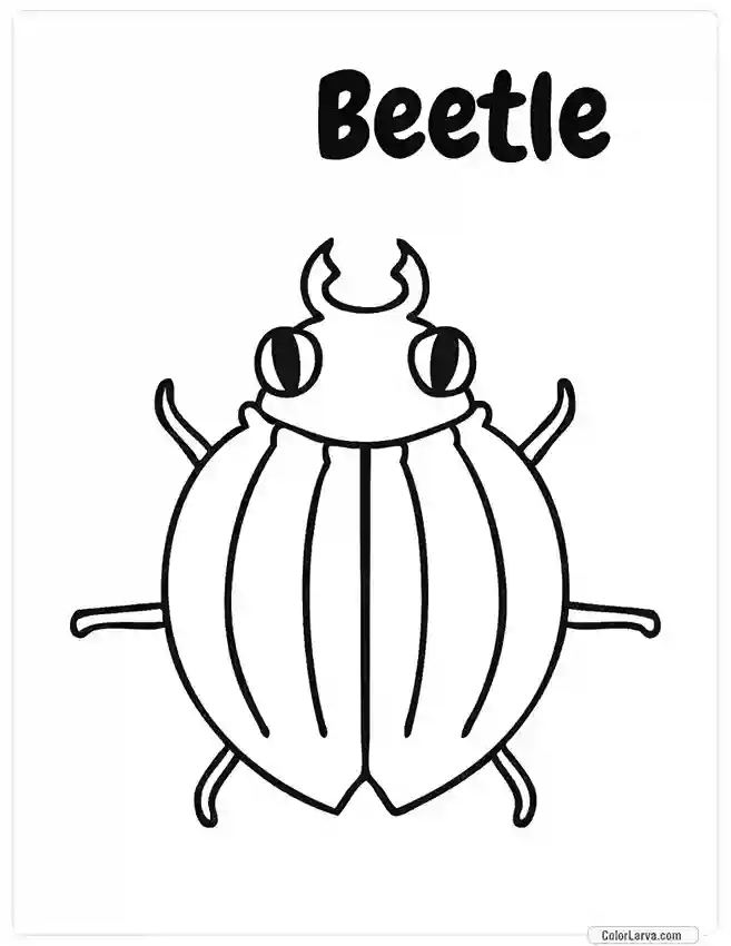 Insects Coloring Book for Kids - Beetle