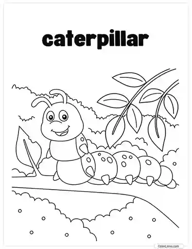 Insects Coloring Book for Kids - Caterpillar