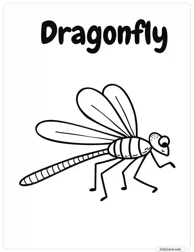 Insects Coloring Book for Kids - Dragonfly