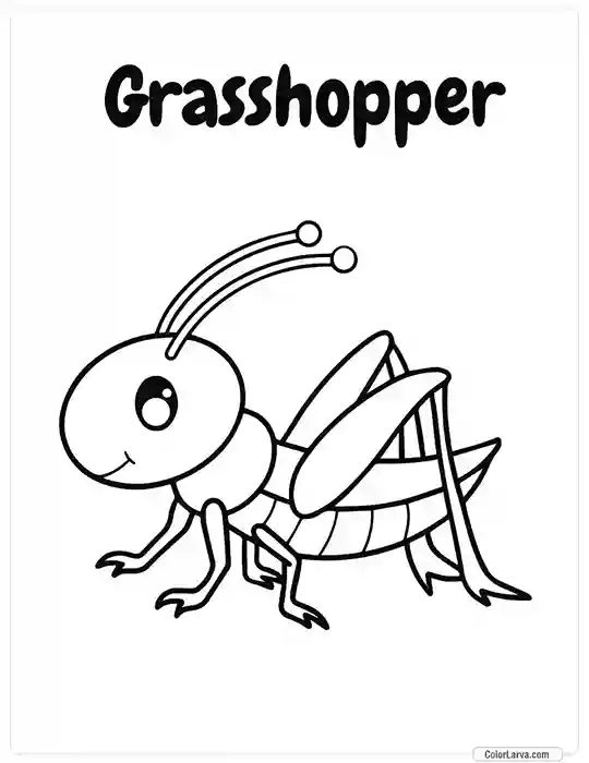 Insects Coloring Book for Kids - Grasshopper