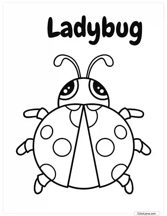 Insects Coloring Book for Kids - Ladybug 2