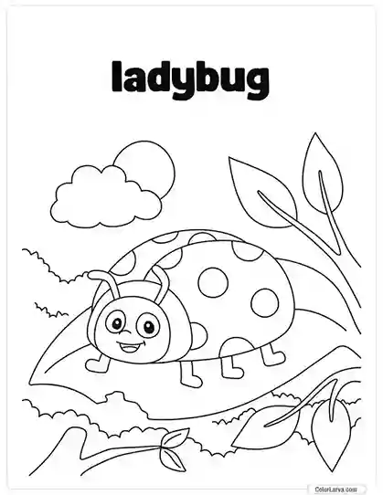 Insects Coloring Book for Kids - Ladybug