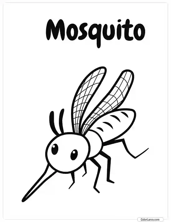 Insects Coloring Book for Kids - Mosquito 2