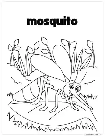 Insects Coloring Book for Kids - Mosquito