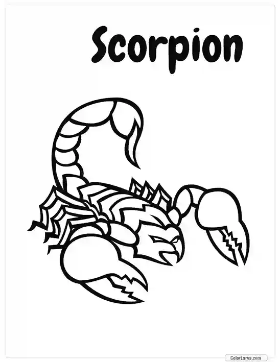 Insects Coloring Book for Kids - Scorpion