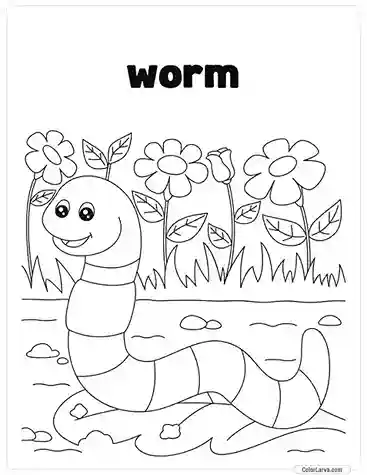 Insects Coloring Book for Kids - Worm