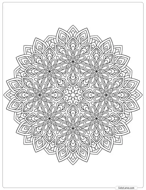 Mandala decorative-round-ornament-anti-stress-therapy-pattern-weave-design-10