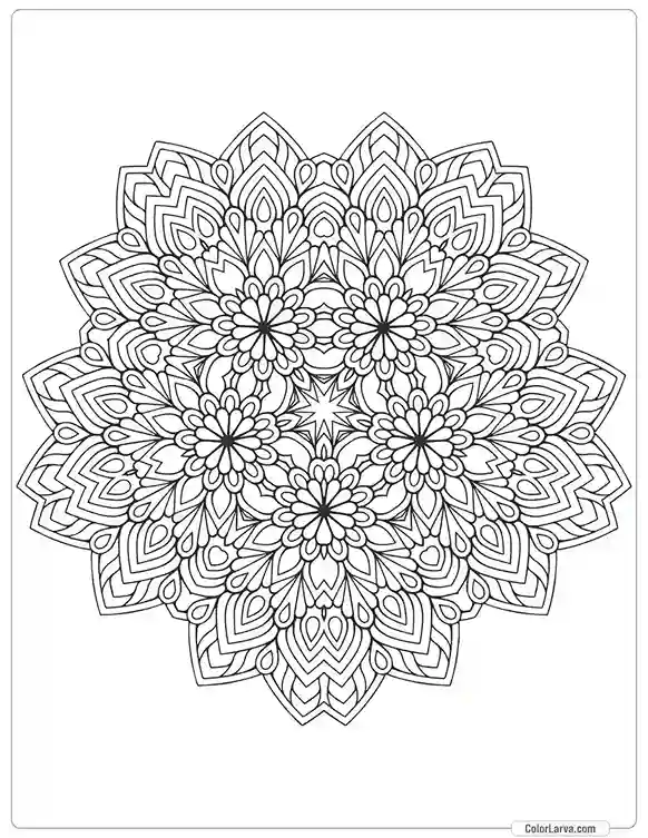 Mandala decorative-round-ornament-anti-stress-therapy-pattern-weave-design-5