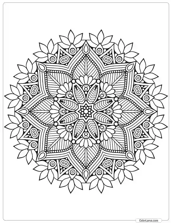 Mandala decorative-round-ornament-anti-stress-therapy-pattern-weave-design-6