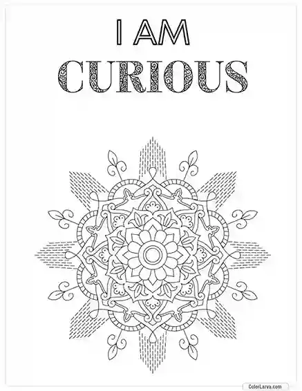 Mindful Mandala Coloring Sheet for Adults 18