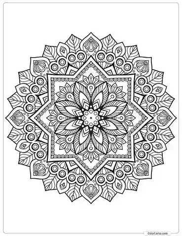 flower-mandala-decorative-pattern-islamic-arabic-indian 12