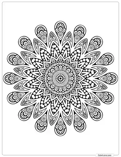 flower-mandala-decorative-pattern-islamic-arabic-indian 19