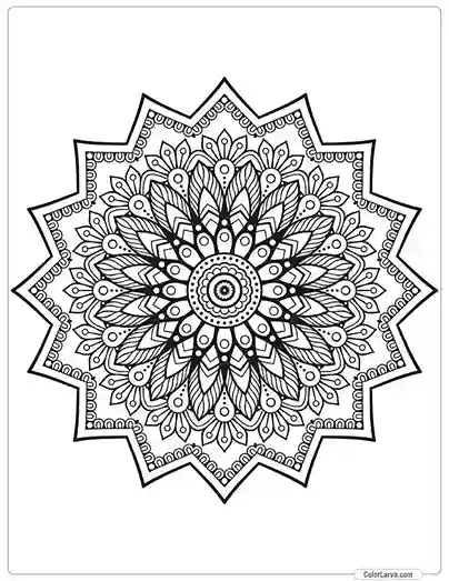 flower-mandala-decorative-pattern-islamic-arabic-indian 20