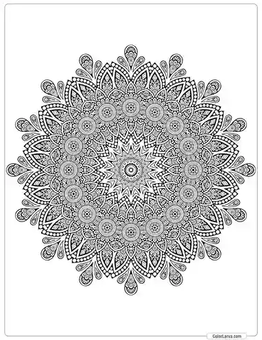 flower-mandala-decorative-pattern-islamic-arabic-indian 25