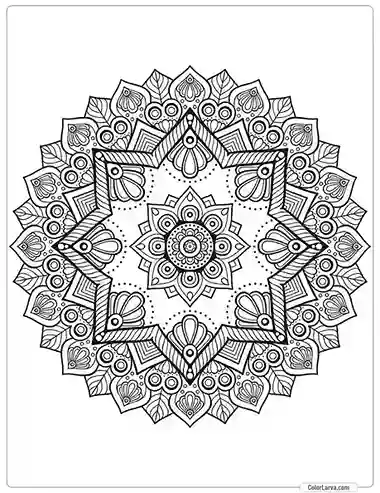 flower-mandala-decorative-pattern-islamic-arabic-indian 39