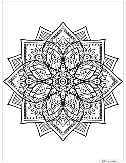 flower-mandala-decorative-pattern-islamic-arabic-indian 43