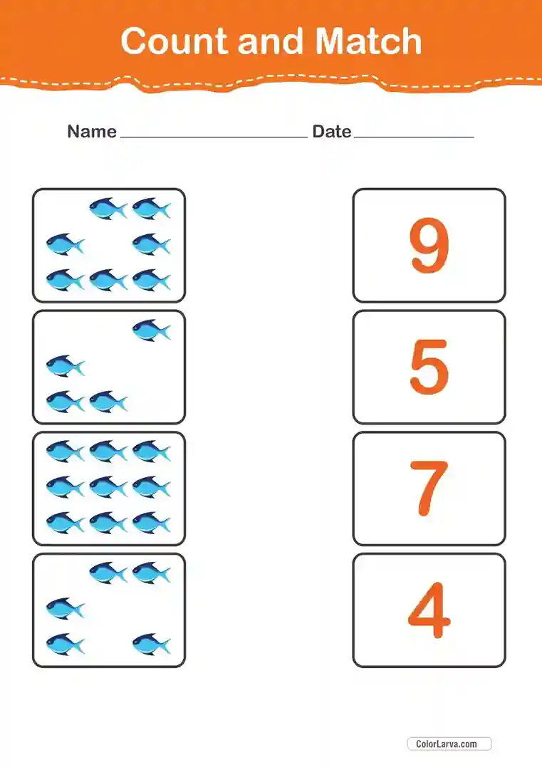 Count and Match Numbers Worksheets 13