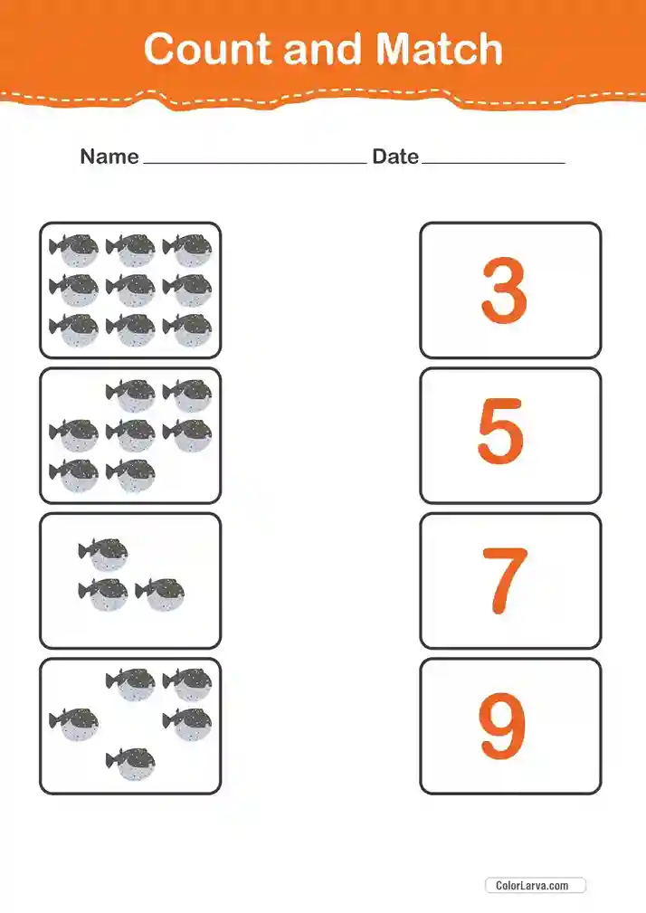 Count and Match Numbers Worksheets 36