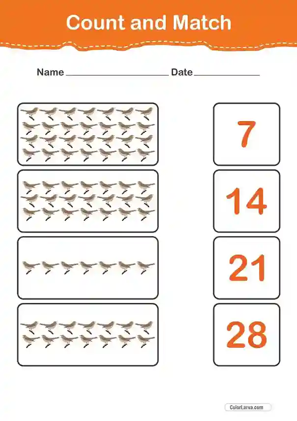 Count and Match Numbers Worksheets 5