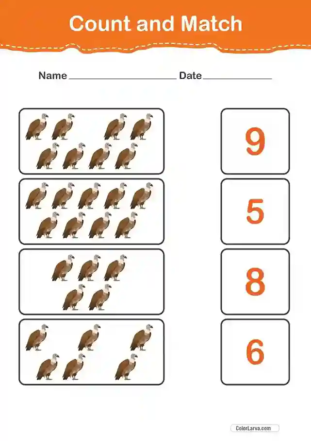 Count and Match Numbers Worksheets 6