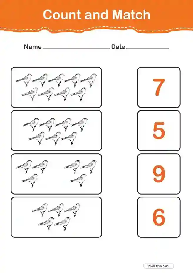 Count and Match Numbers Worksheets 7