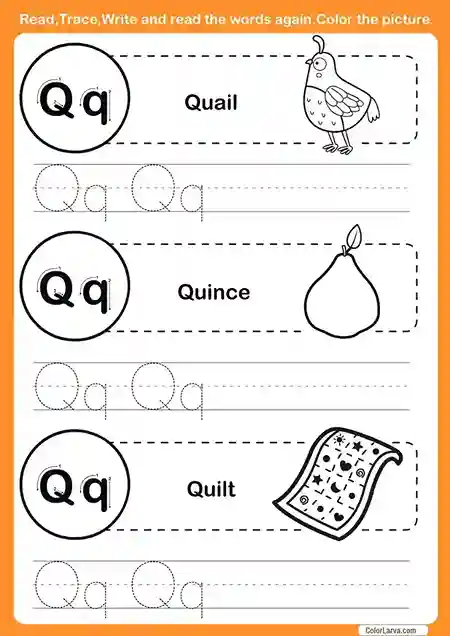 Read Trace Write Worksheet Q