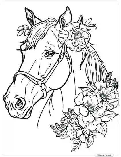 Magic Horse Coloring - Adult Coloring Pages